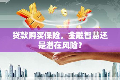 阿莲贷款购买保险，金融智慧还是潜在风险？