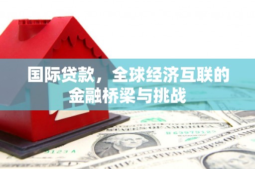 阿莲国际贷款，全球经济互联的金融桥梁与挑战