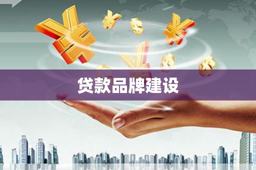阿莲贷款品牌建设