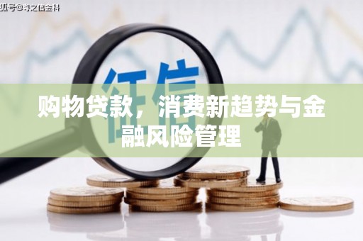阿莲购物贷款，消费新趋势与金融风险管理