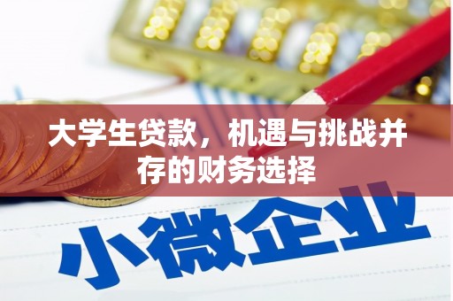 阿莲大学生贷款，机遇与挑战并存的财务选择