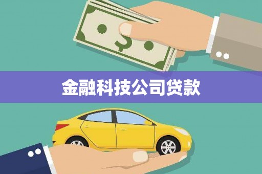阿莲金融科技公司贷款