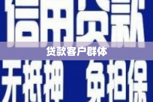 阿莲贷款客户群体