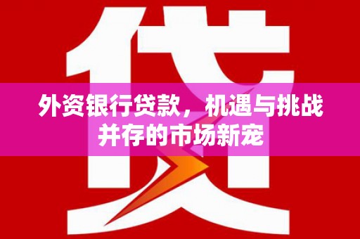 阿莲外资银行贷款，机遇与挑战并存的市场新宠