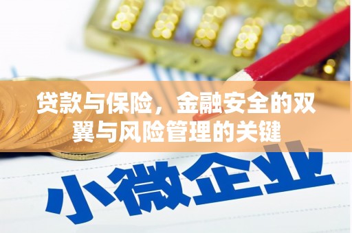 阿莲贷款与保险，金融安全的双翼与风险管理的关键