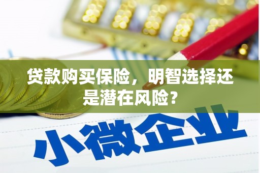 阿莲贷款购买保险，明智选择还是潜在风险？