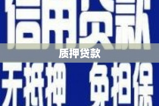 阿莲质押贷款