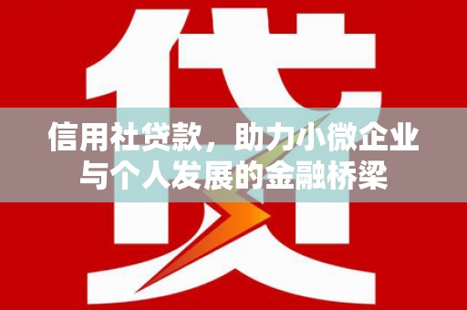 阿莲信用社贷款，助力小微企业与个人发展的金融桥梁
