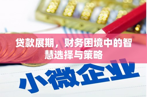 阿莲贷款展期，财务困境中的智慧选择与策略