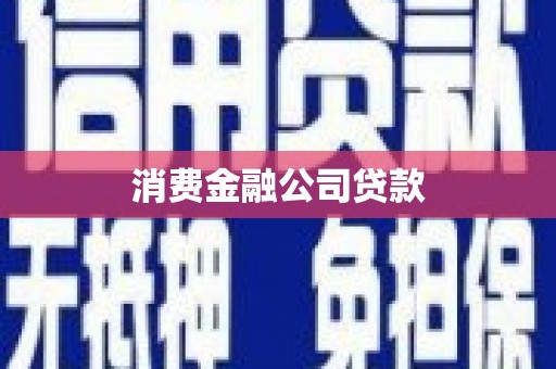 阿莲消费金融公司贷款
