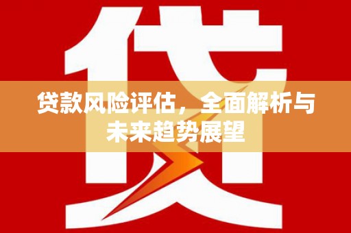 阿莲贷款风险评估，全面解析与未来趋势展望