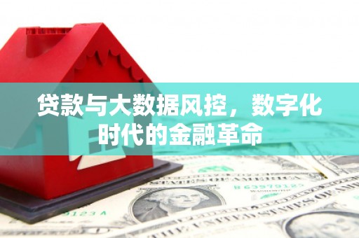 阿莲贷款与大数据风控，数字化时代的金融革命