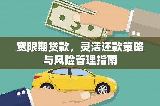 阿莲宽限期贷款，灵活还款策略与风险管理指南