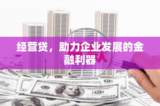 阿莲经营贷，助力企业发展的金融利器
