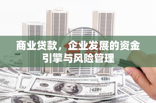 阿莲商业贷款，企业发展的资金引擎与风险管理