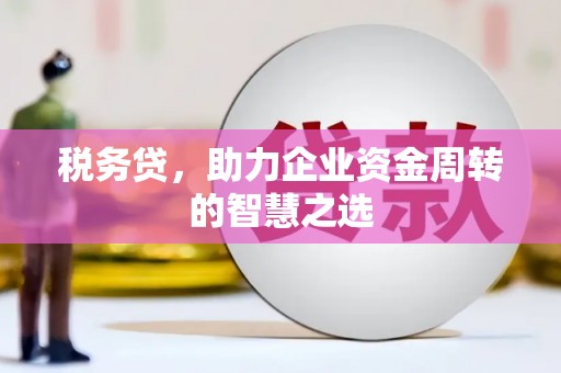 阿莲税务贷，助力企业资金周转的智慧之选