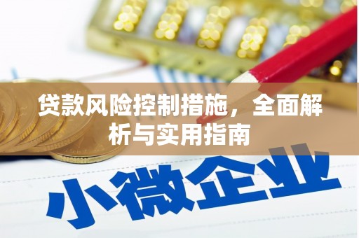 阿莲贷款风险控制措施，全面解析与实用指南