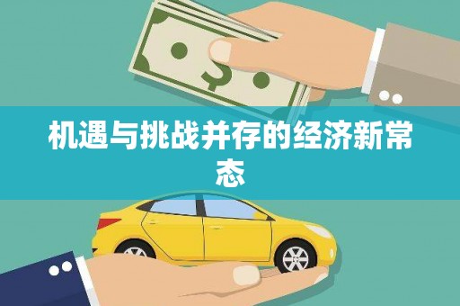 阿莲机遇与挑战并存的经济新常态