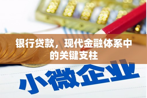 阿莲银行贷款，现代金融体系中的关键支柱