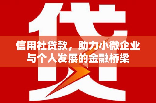 阿莲信用社贷款，助力小微企业与个人发展的金融桥梁