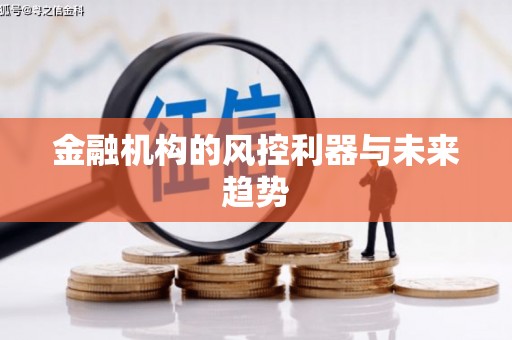 阿莲金融机构的风控利器与未来趋势
