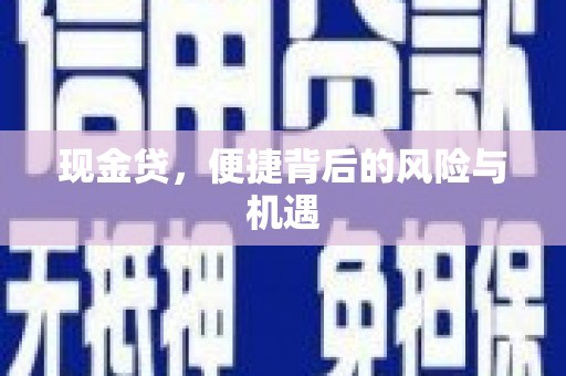 阿莲现金贷，便捷背后的风险与机遇