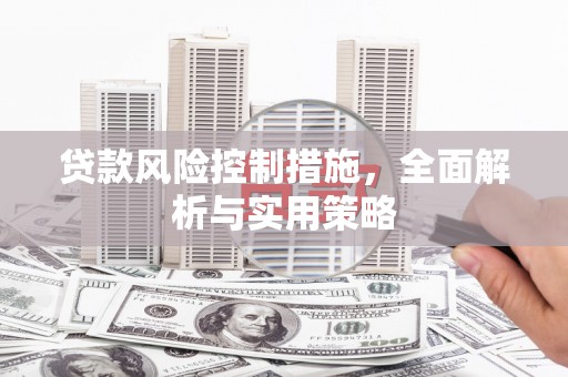 阿莲贷款风险控制措施，全面解析与实用策略