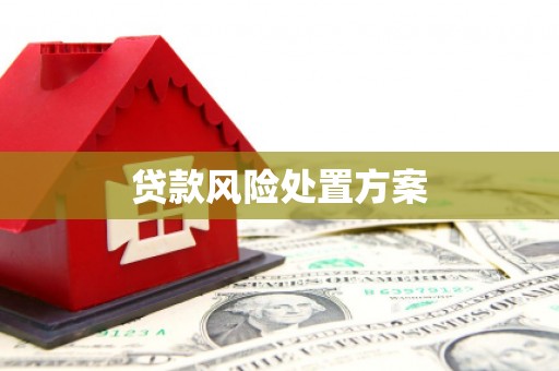 阿莲贷款风险处置方案