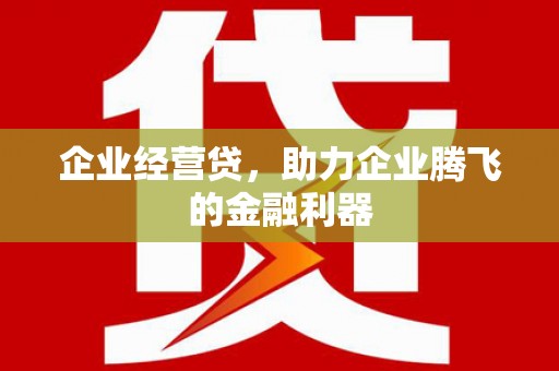 阿莲企业经营贷，助力企业腾飞的金融利器