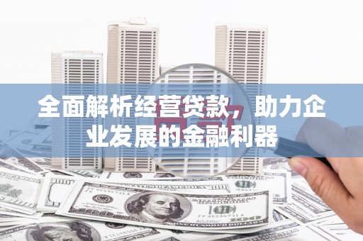 阿莲全面解析经营贷款，助力企业发展的金融利器