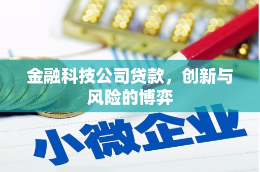 阿莲金融科技公司贷款，创新与风险的博弈