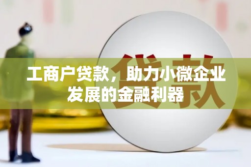 阿莲工商户贷款，助力小微企业发展的金融利器