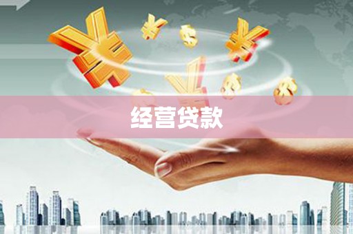 阿莲经营贷款