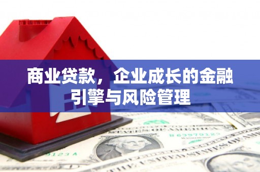 阿莲商业贷款，企业成长的金融引擎与风险管理