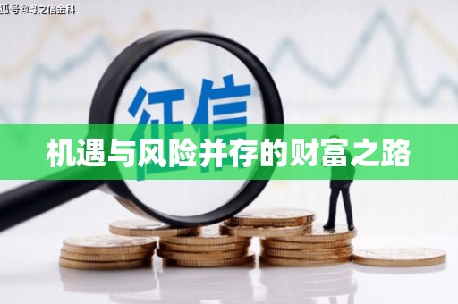阿莲机遇与风险并存的财富之路