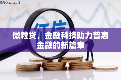 阿莲微粒贷，金融科技助力普惠金融的新篇章