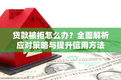 阿莲贷款被拒怎么办？全面解析应对策略与提升信用方法