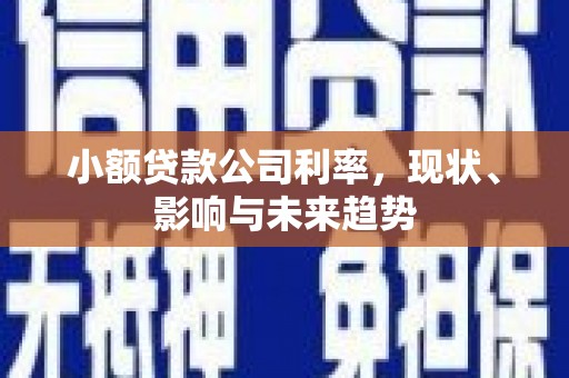 阿莲小额贷款公司利率，现状、影响与未来趋势