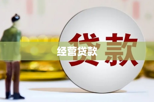 阿莲经营贷款