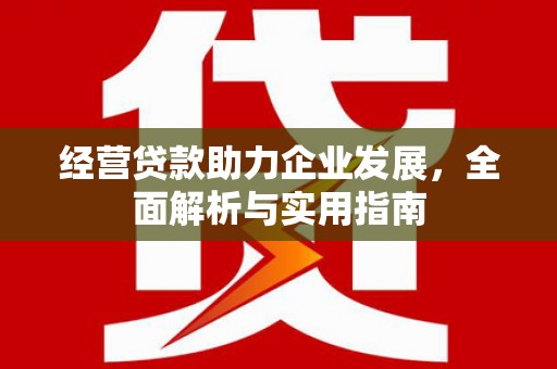 阿莲经营贷款助力企业发展，全面解析与实用指南
