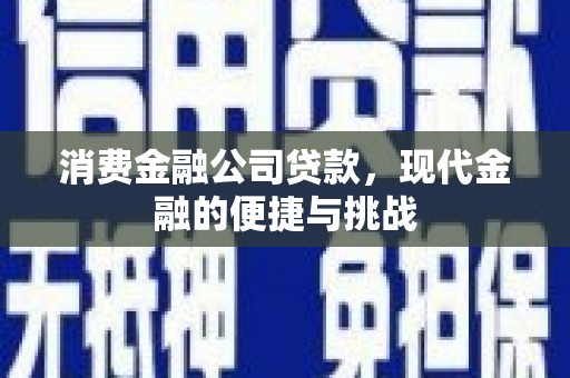 阿莲消费金融公司贷款，现代金融的便捷与挑战