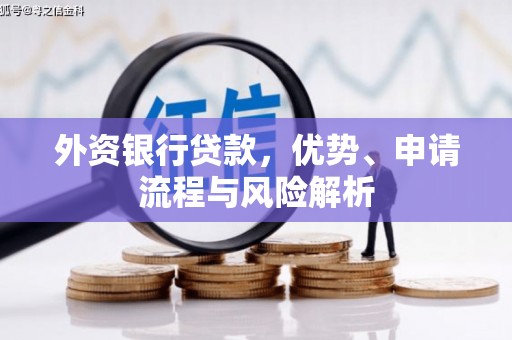 阿莲外资银行贷款，优势、申请流程与风险解析