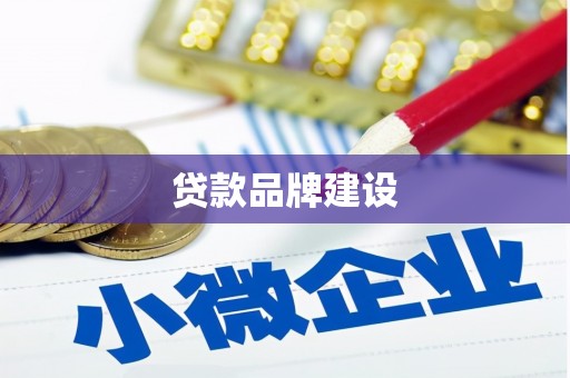 阿莲贷款品牌建设