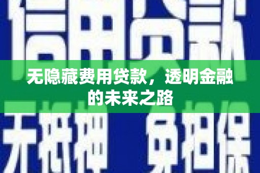 阿莲无隐藏费用贷款，透明金融的未来之路