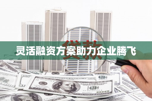 阿莲灵活融资方案助力企业腾飞