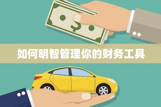 阿莲如何明智管理你的财务工具