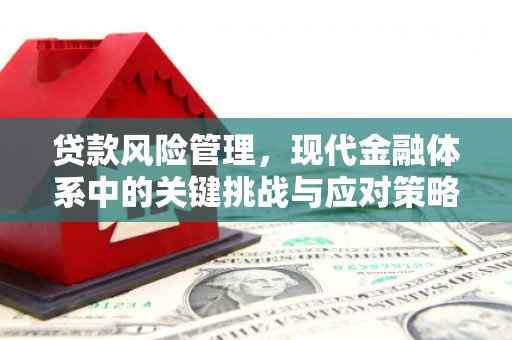 阿莲贷款风险管理，现代金融体系中的关键挑战与应对策略
