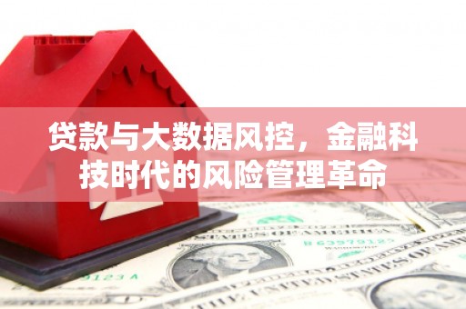 阿莲贷款与大数据风控，金融科技时代的风险管理革命