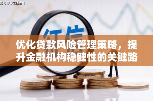 阿莲优化贷款风险管理策略，提升金融机构稳健性的关键路径
