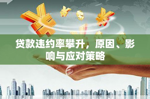 阿莲贷款违约率攀升，原因、影响与应对策略